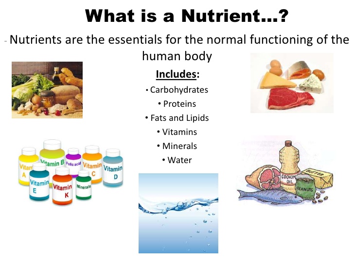 Nutrients Overview Nutrition Skinny 